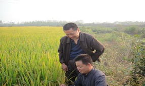 農業工程師職業大全 多領域發展與職業前景