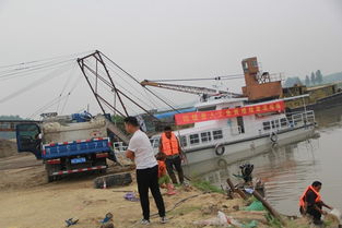 固鎮(zhèn)縣畜牧獸醫(yī)水產(chǎn)局積極開展?jié)O業(yè)資源增殖人工放流活動(dòng) 助力畜牧漁業(yè)飼料銷售新篇章